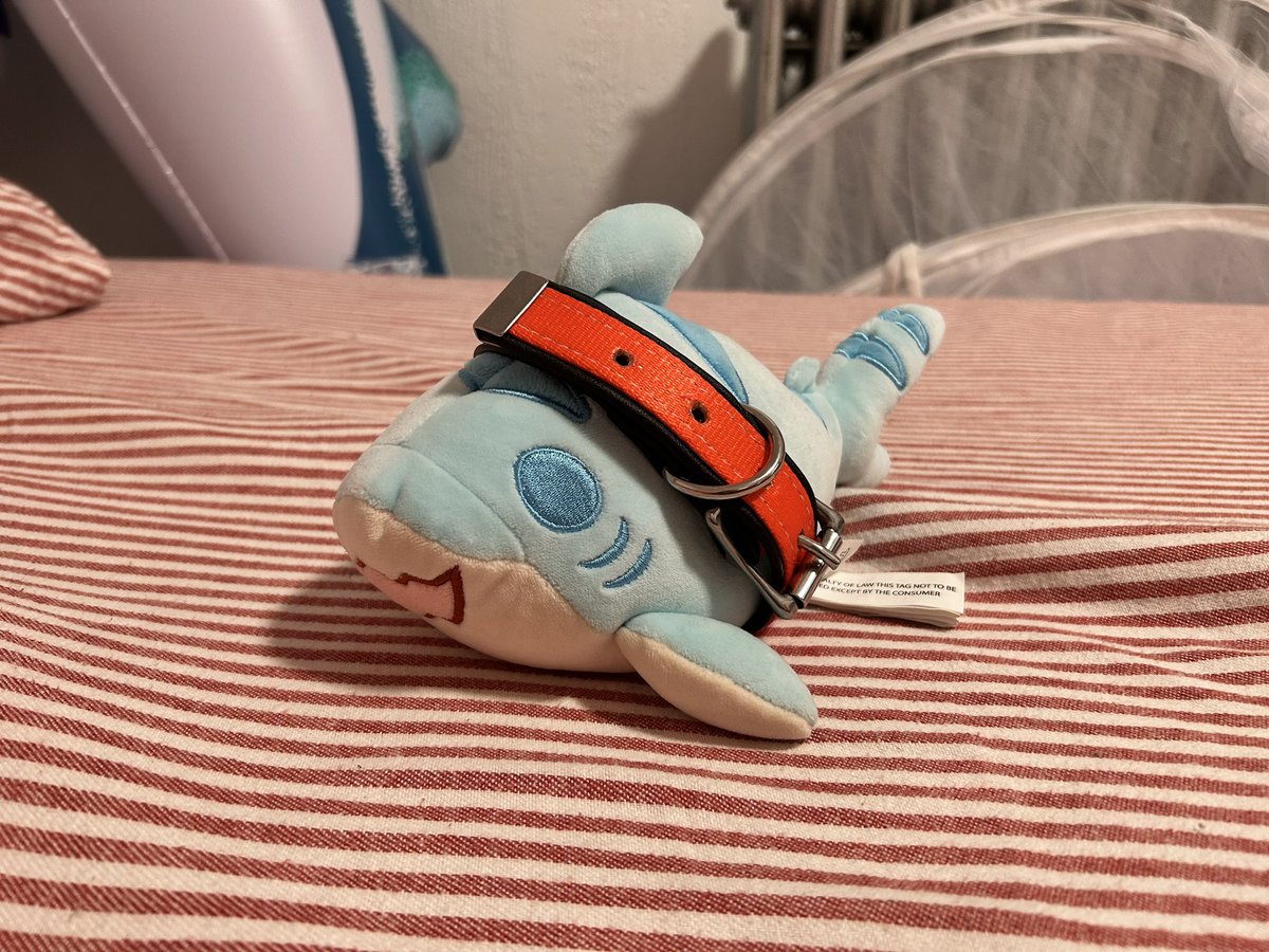 Calyx the Shark🦈🎈🔜 Furrydelphia! tweet media