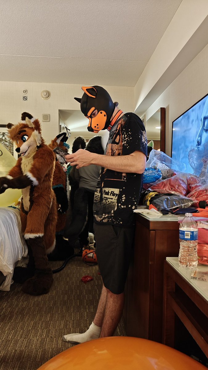 Calyx the Shark🦈🎈🔜 Furrydelphia! tweet media