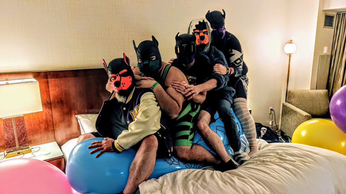 Calyx the Shark🦈🎈🔜 Furrydelphia! tweet media