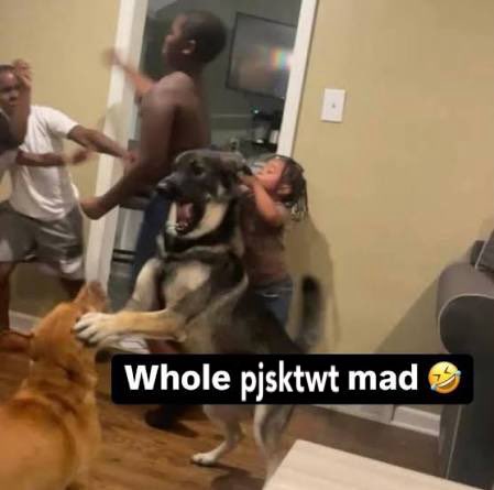 dollswillrot's tweet image. 