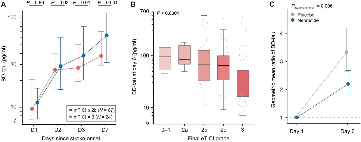 ScienceMagazine's tweet image. Monitoring markers of tau protein in the blood can predict functional outcomes in patients recovering from ischemic stroke better than MRI, according to a comprehensive study of more than 1200 patients in @ScienceTM. scim.ag/4sMNshe