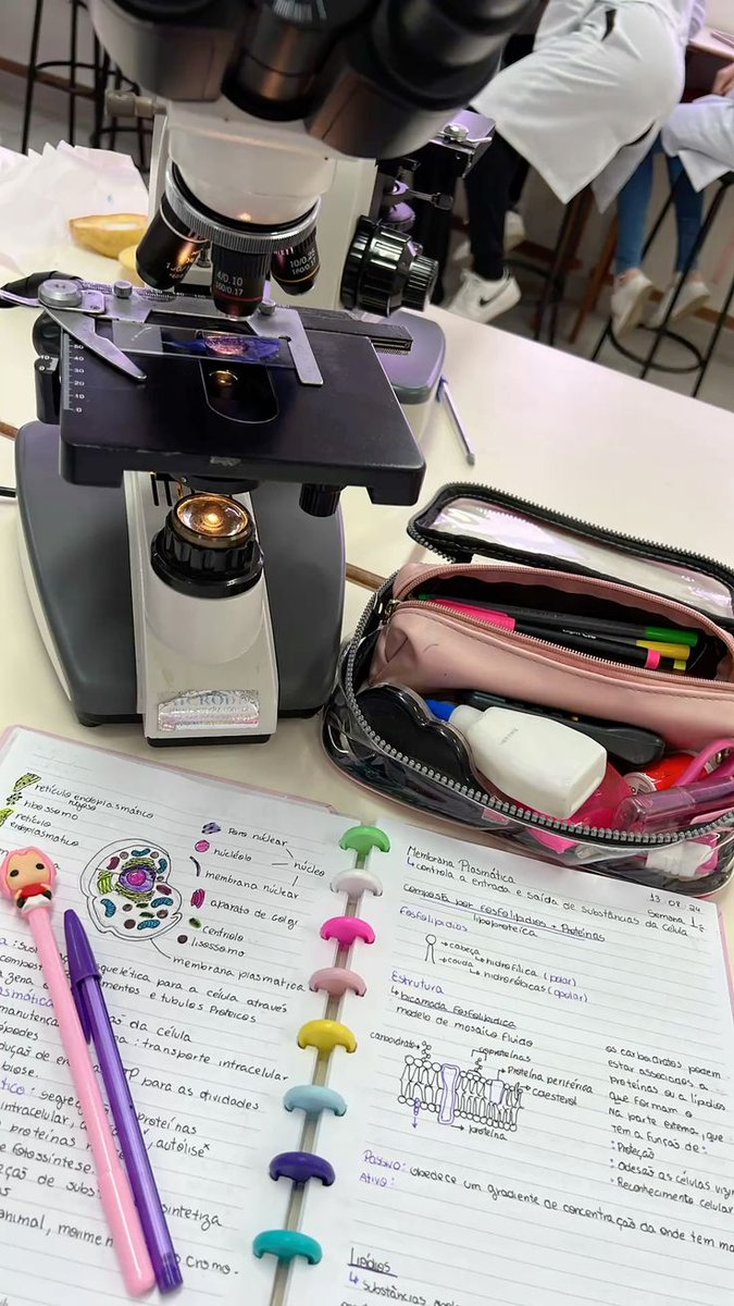 kodzumepj's tweet image. ⌕ #collegetwt #studytwt #studytwtbr 📚

• helen | ela/dela | 08
• biomed 
• 3° Ano EM
• meta: não procrastinar, focar nos estudos e vest (Enem, UERJ)
𐙚: corrida, r&amp;amp;b, mpb, autocuidado, bts. 
sou nova aqui!! 
♡/↺ = moots.