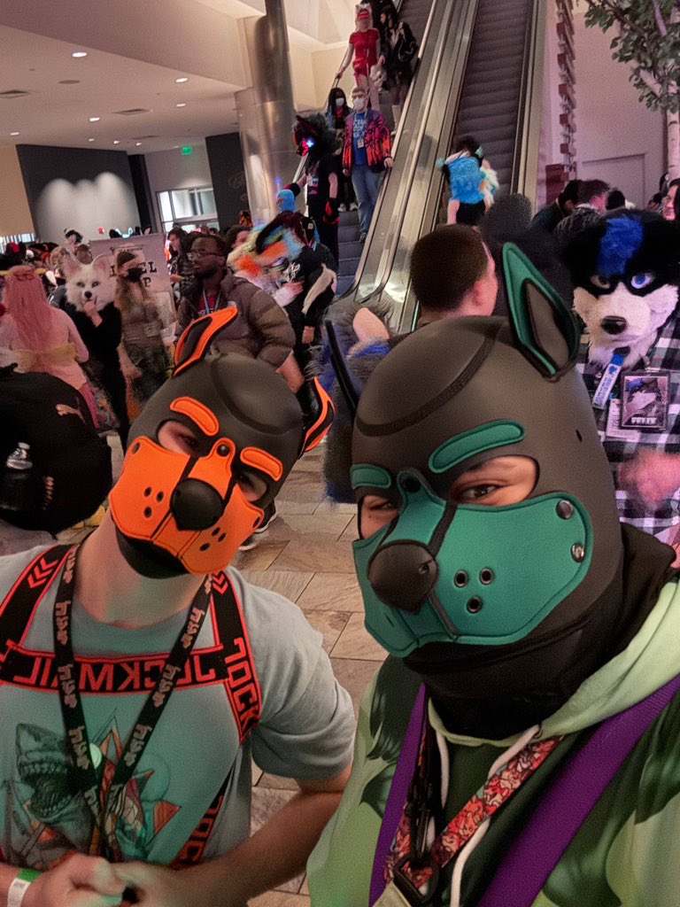 Calyx the Shark🦈🎈🔜 Furrydelphia! tweet media