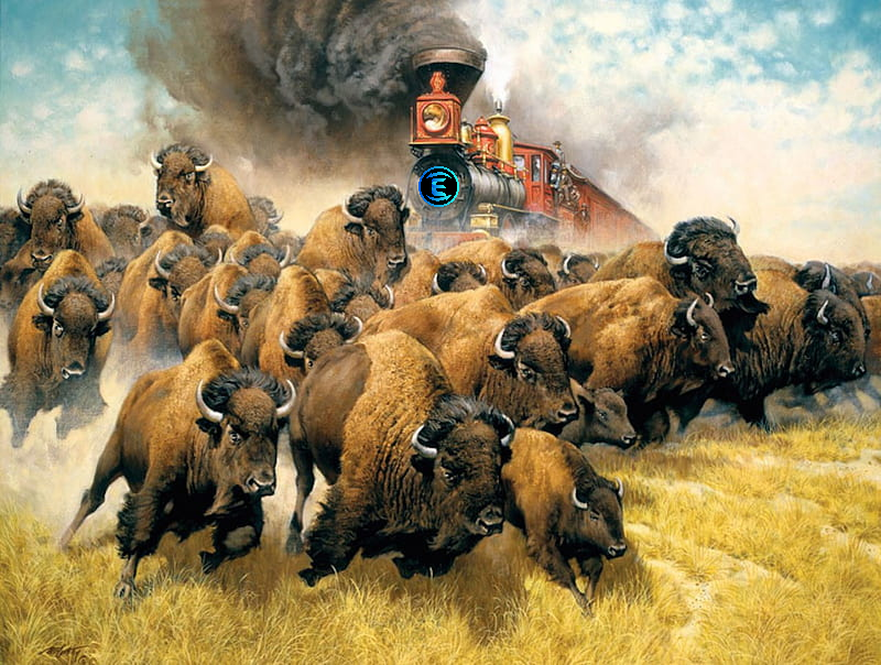 Gavin.sonic tweet media