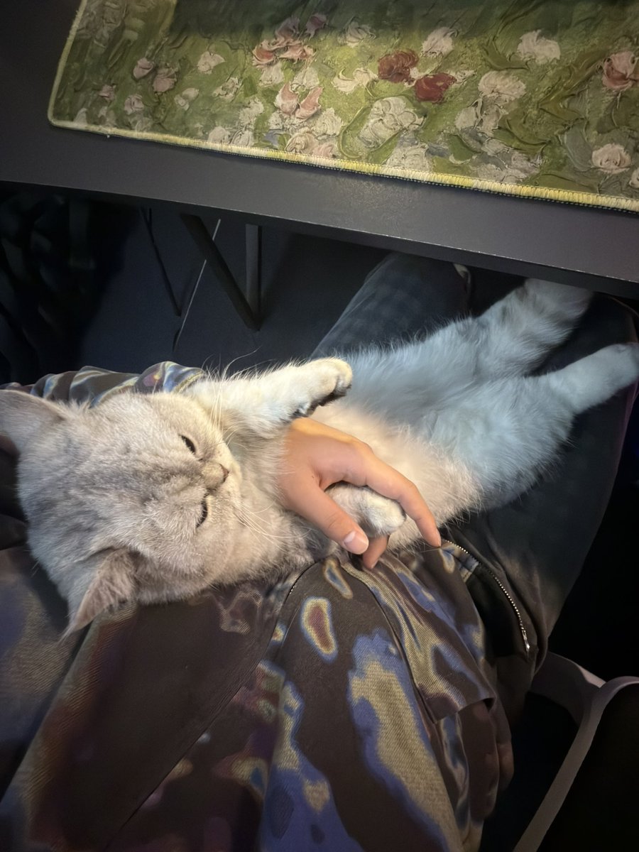 wack5577's tweet photo. For my Cat DaDa https://t.co/HPudnrprQ3