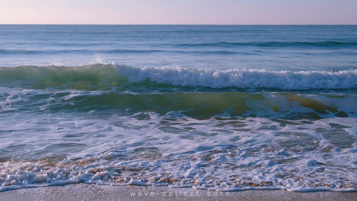 𝚌𝚘𝚝𝚎 tweet media