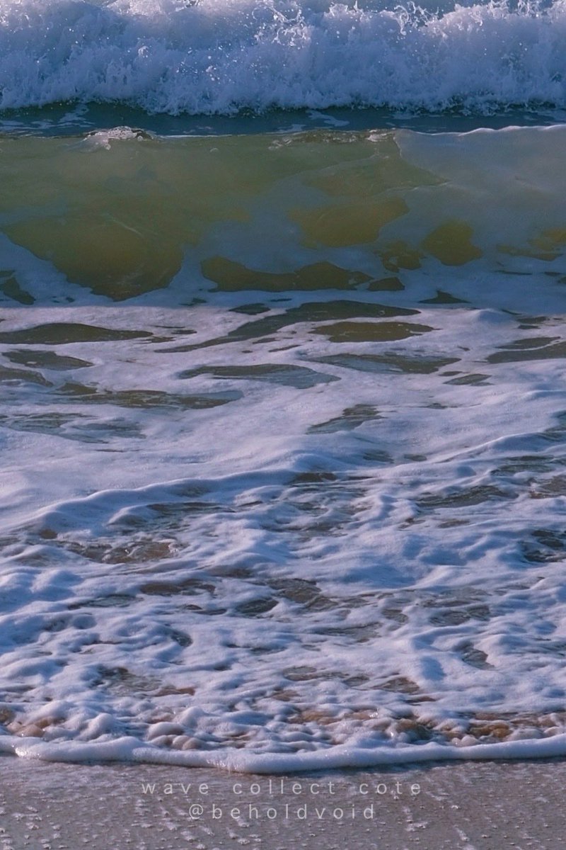 𝚌𝚘𝚝𝚎 tweet media