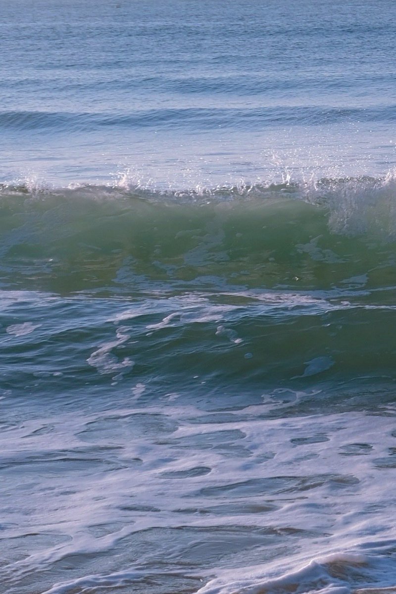 𝚌𝚘𝚝𝚎 tweet media