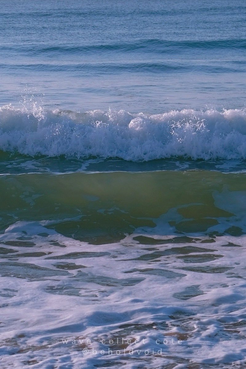 𝚌𝚘𝚝𝚎 tweet media