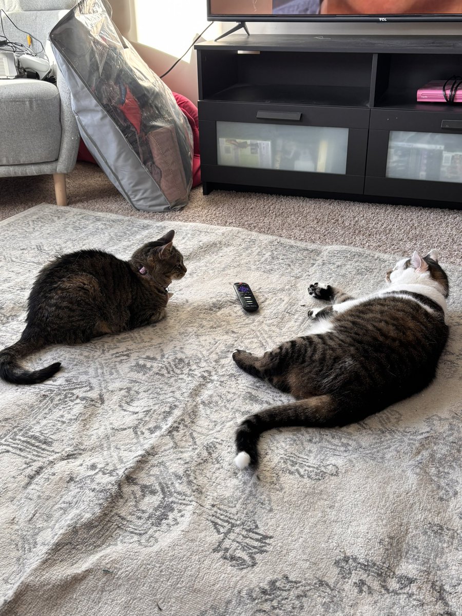 we havimg a meety an no stimky sistor not inviet