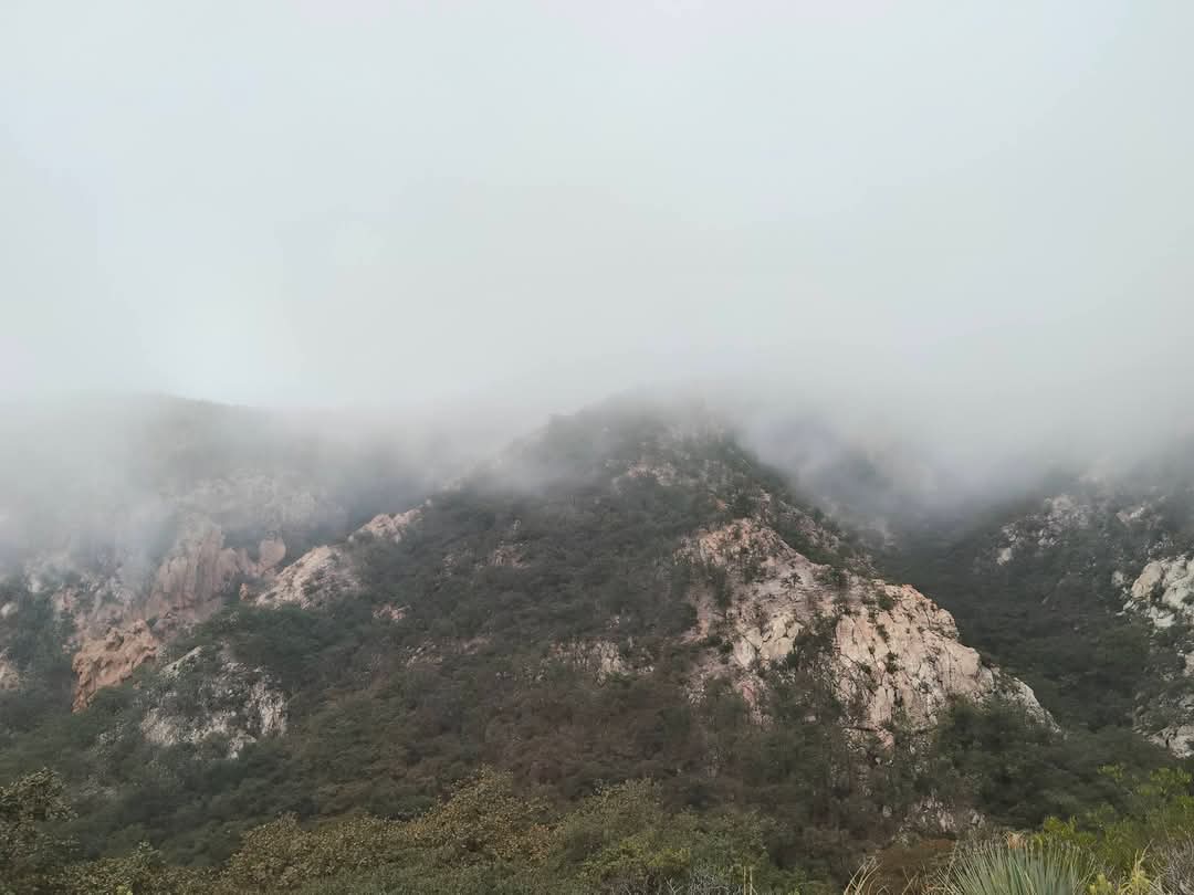 Todos Somos la Sierra de San Miguelito tweet media