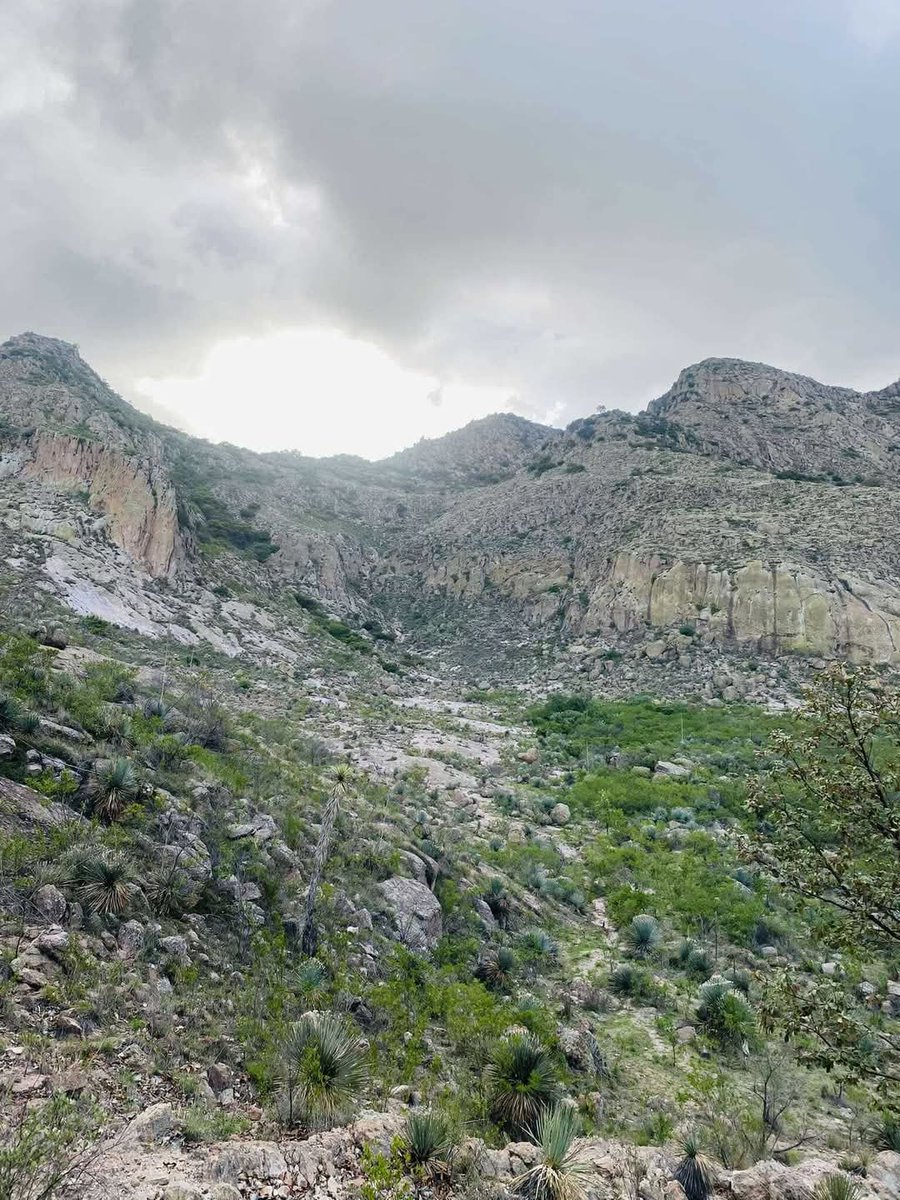 Todos Somos la Sierra de San Miguelito tweet media