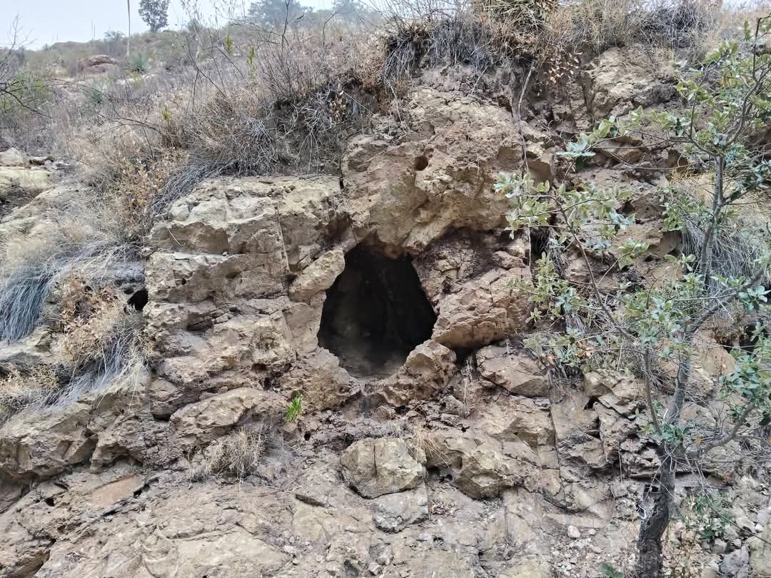 Todos Somos la Sierra de San Miguelito tweet media