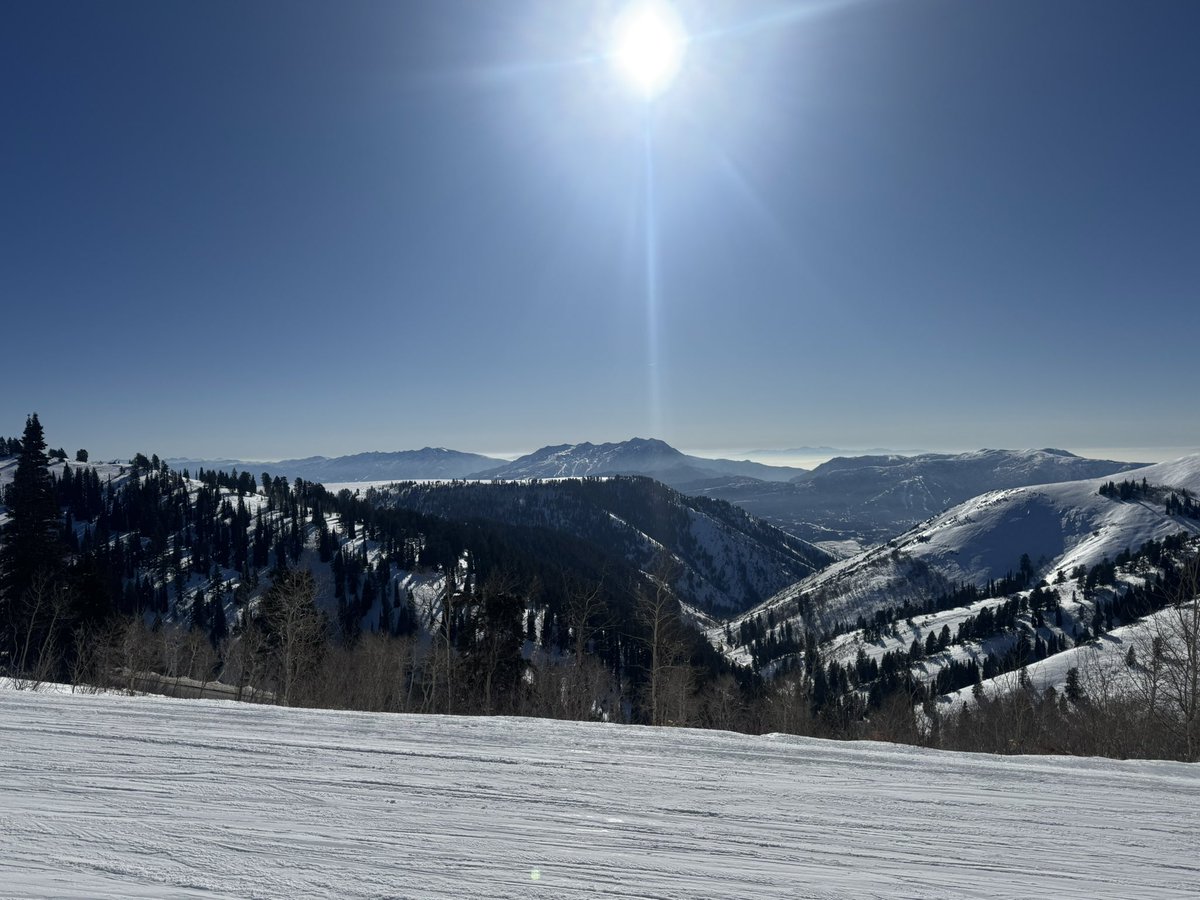 PlutoMonium tweet media