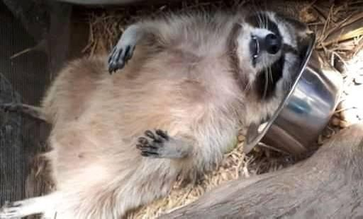 uh goodnight guys! 💤💤💤