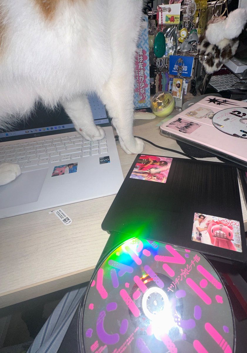 ໊ (@yurikuuunn) on Twitter photo 