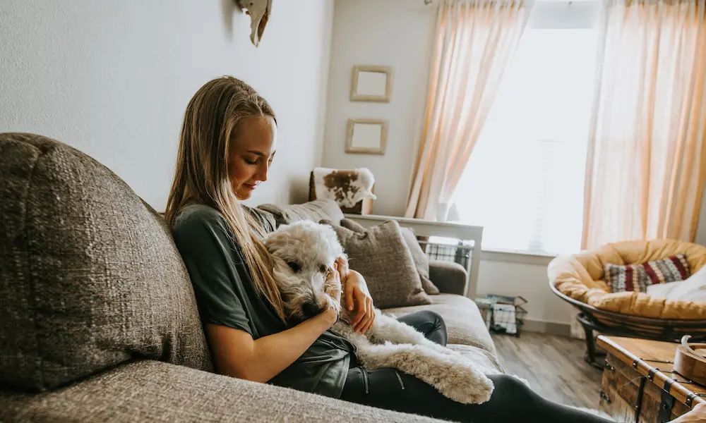 PropertyTalk tweet media