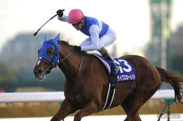 【一時代を築いた兄妹】
名繁殖牝馬スカーレットブーケの仔はダイワルージュが2010年に、ダイワメジャーが本日亡くなりましたが、ダイワスカーレットは存命。

30歳で天寿を全うした母スカーレットブーケ同様、健康に、長生きしていただきたいものです。
#スカーレット一族
keibalab.jp/db/horse/20041…