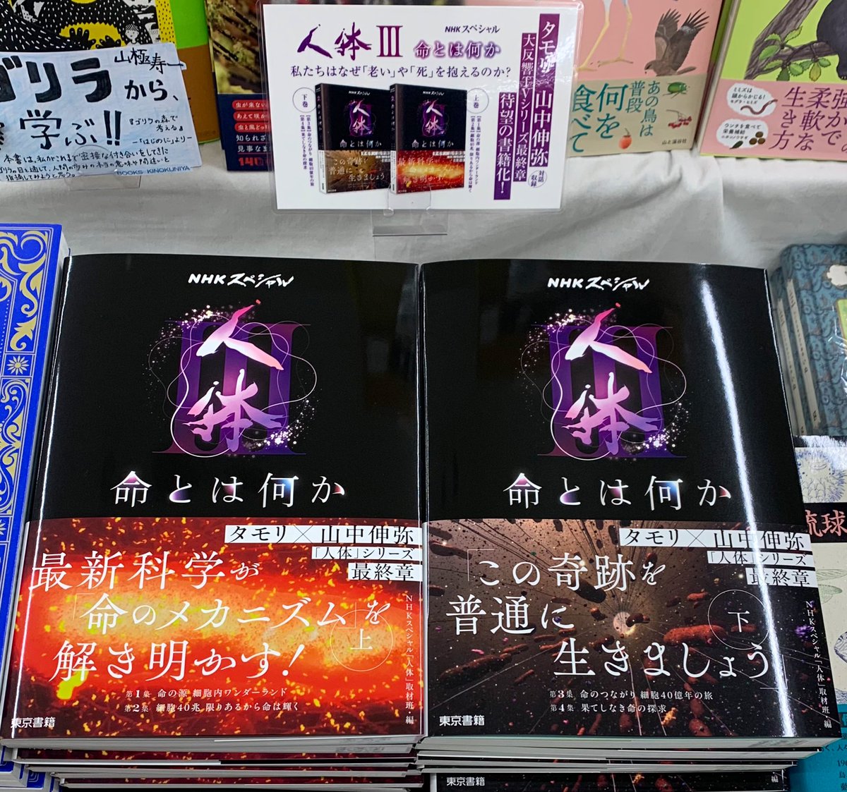 【中古】 人間・組織・管理新版 6階自然科学】 『NHKスペシャル人体III 命とは何か』上・下 NHK