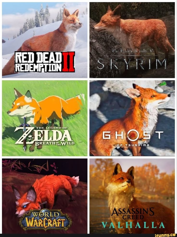 Which game fox had the most aura?