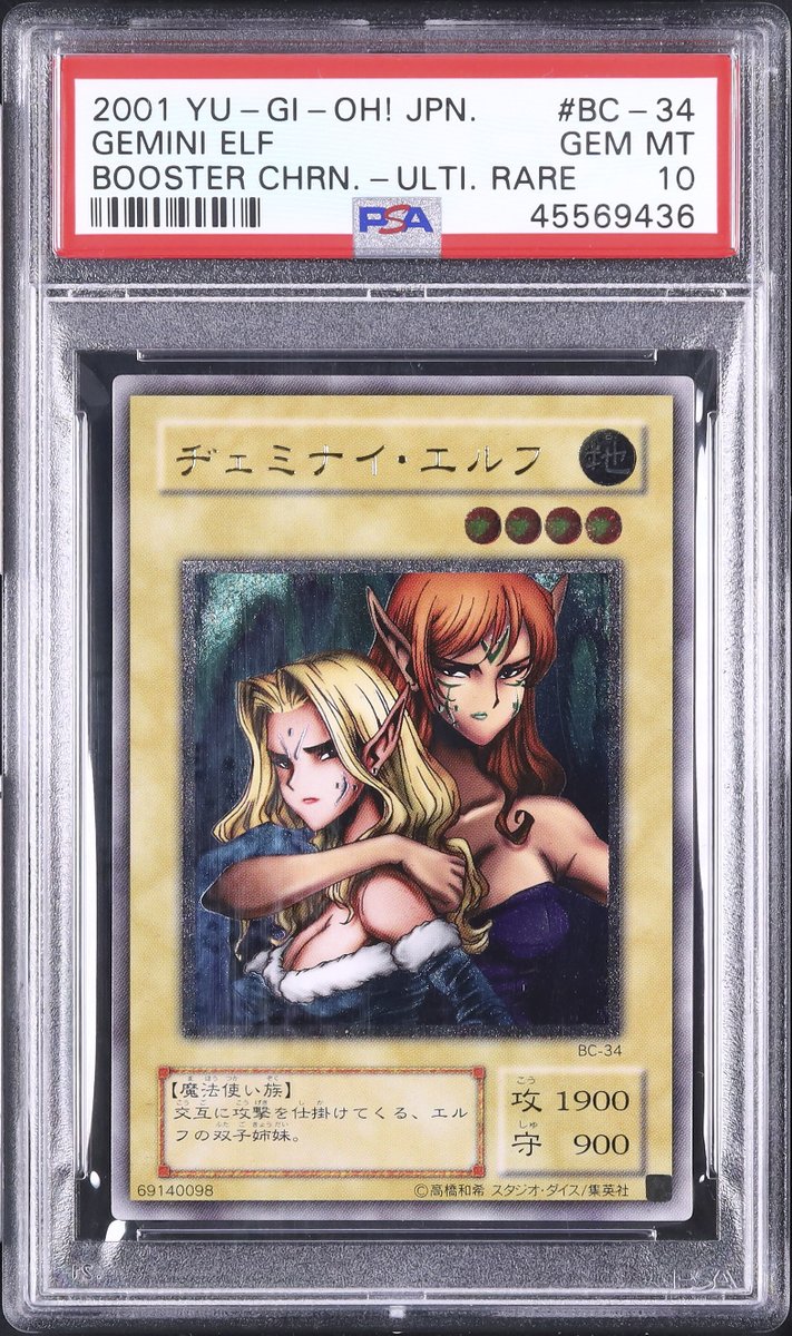 ✦ ─────────── ✦ 📸 本日のピックアップ