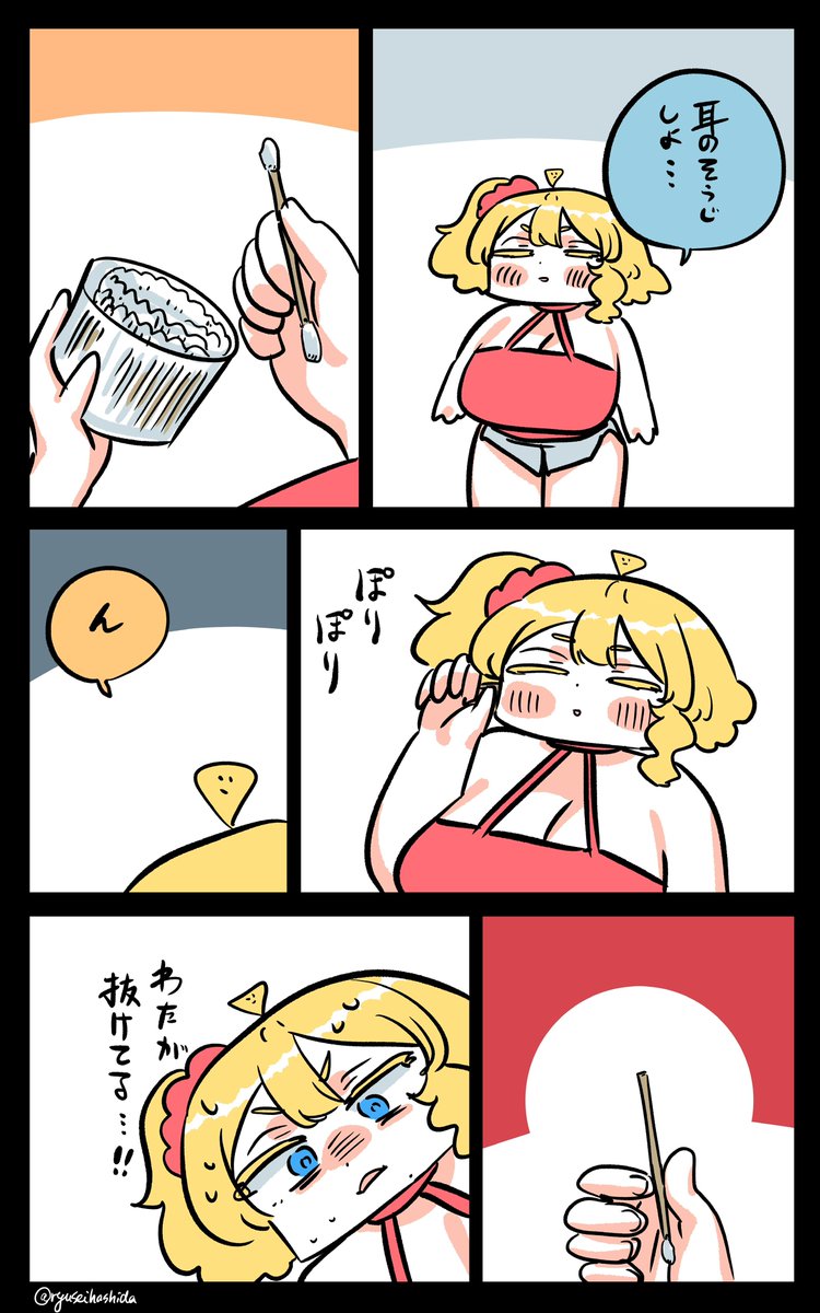 救出したフロリダちゃん日記です。

"Picked up" Florida diary. 