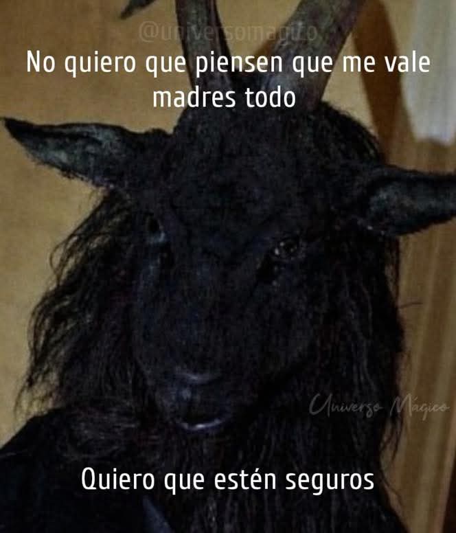 nxstypxet's tweet image. 