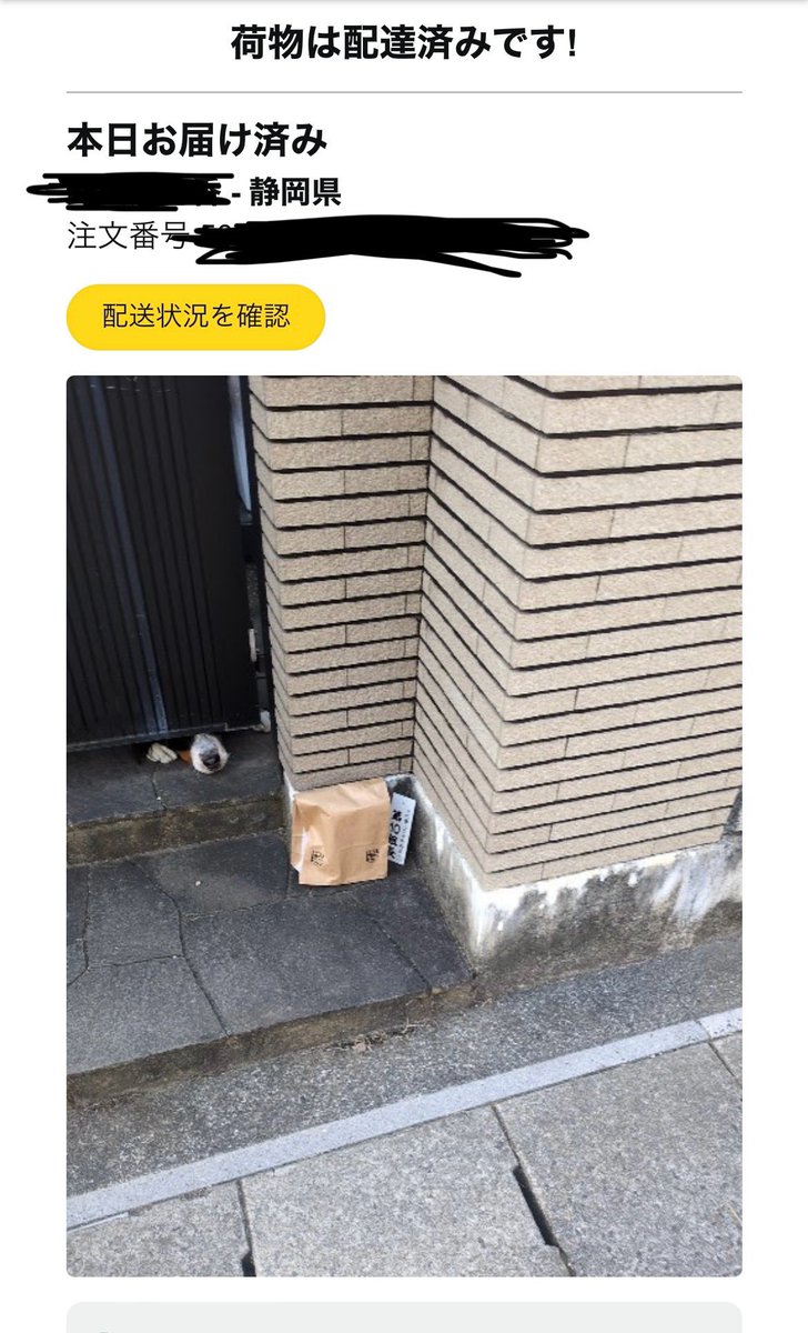 こたろー tweet media