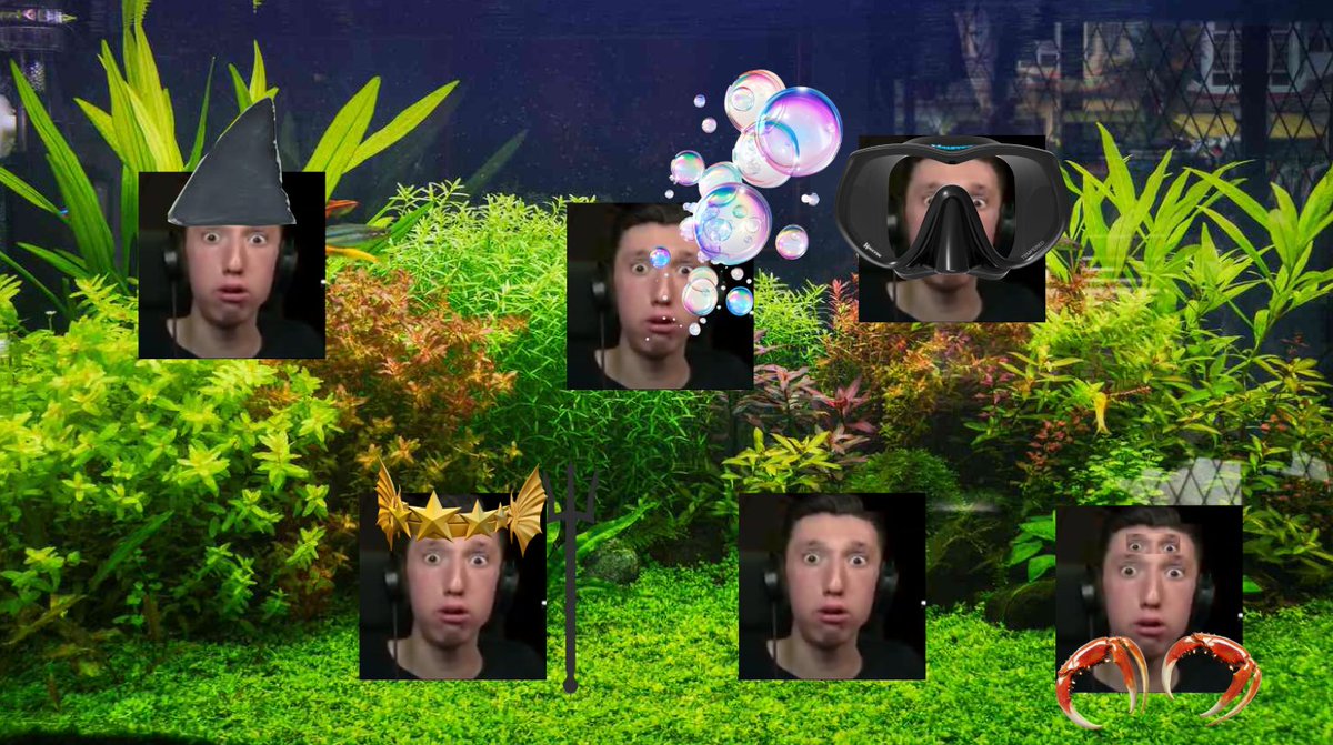 Goosesalesman tweet media