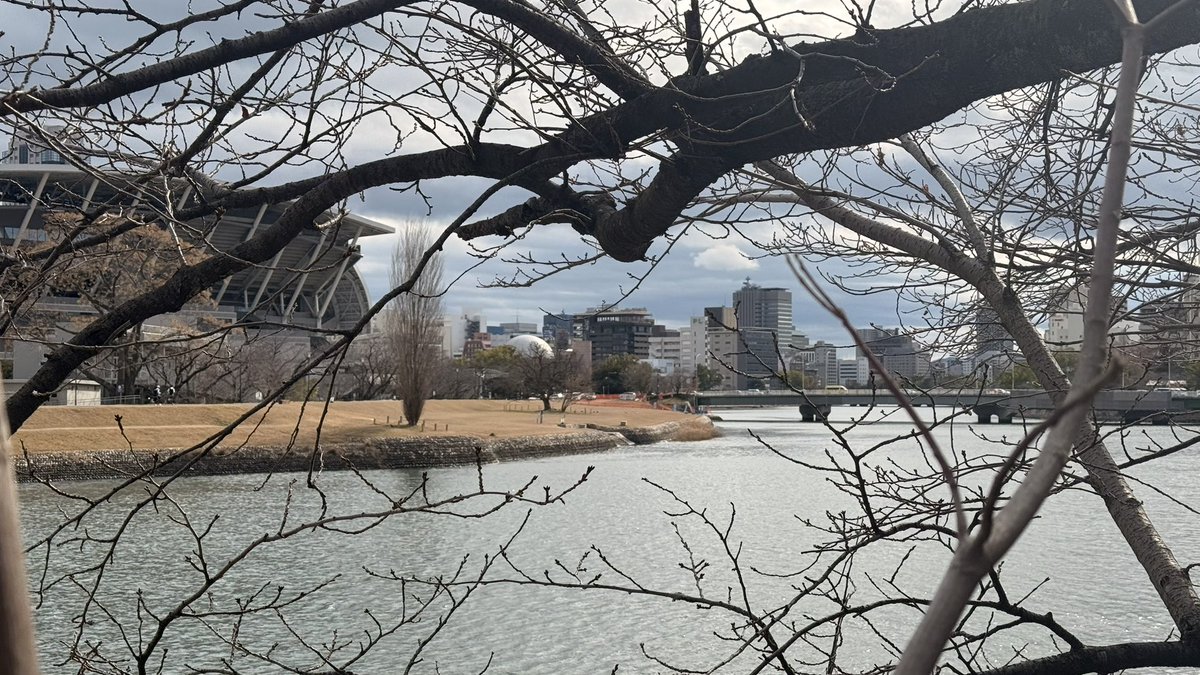久しぶりにしっかりロングウォーク。桜が咲く頃にはとっくに水ツアー中だね