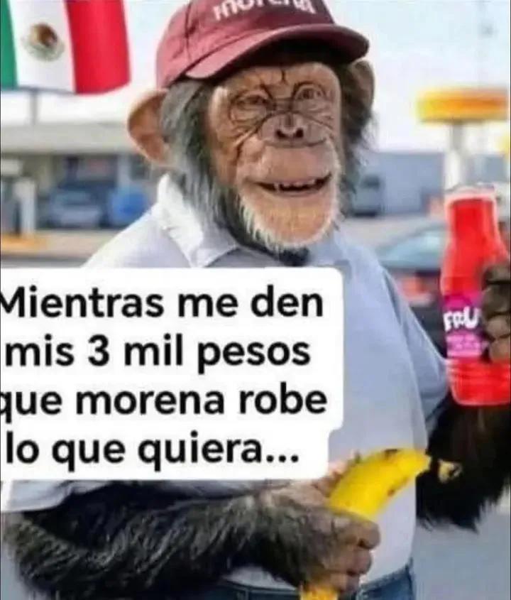 Esteban Perez Alvare tweet media