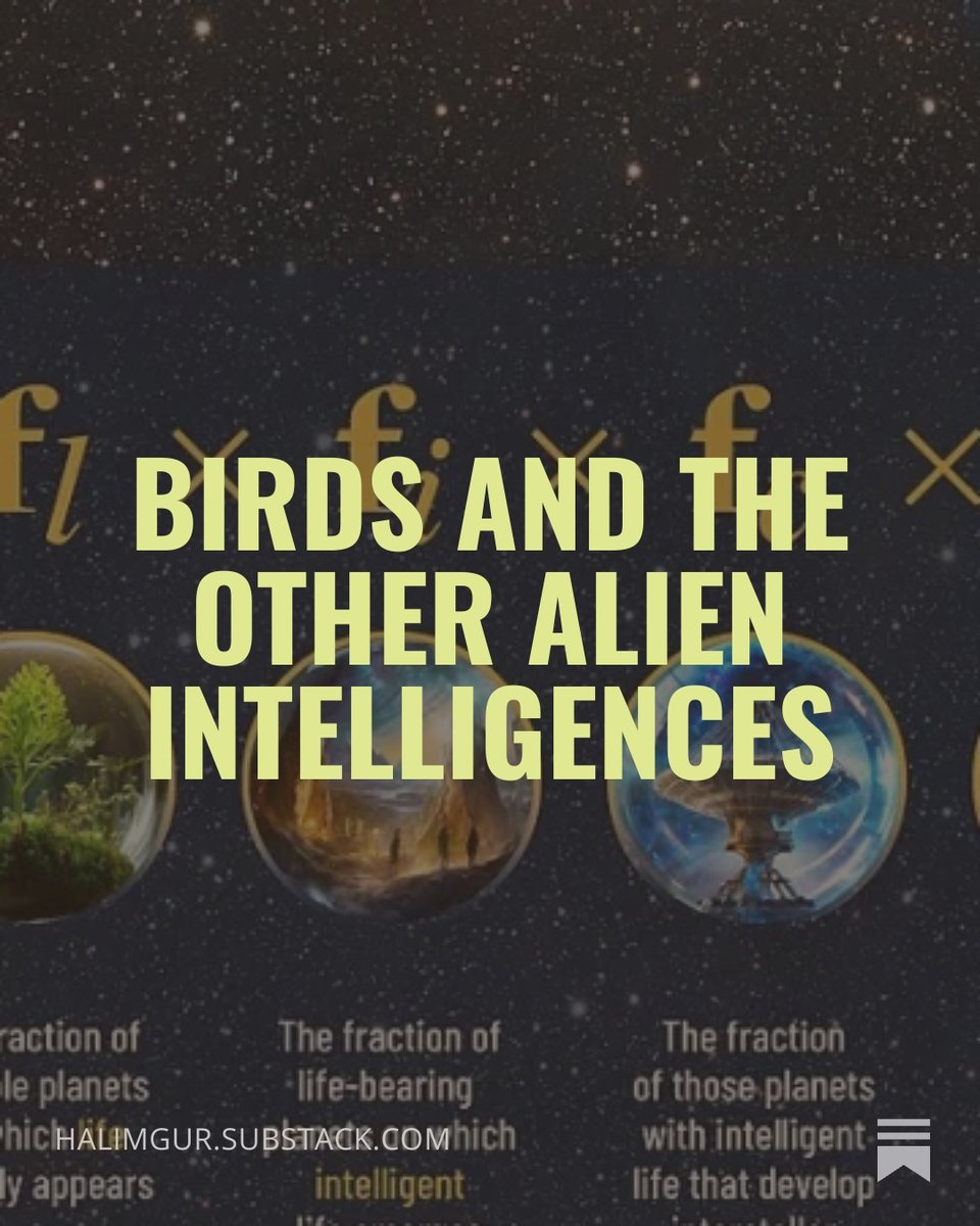 Halim Gurgenci tweet media