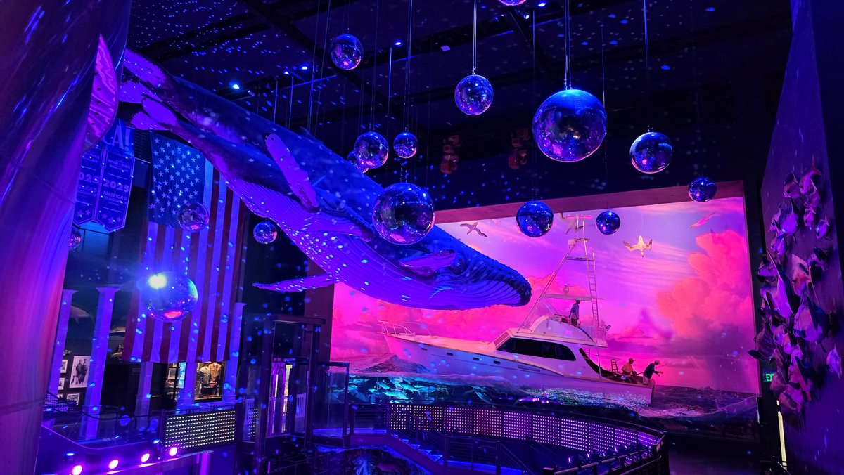 Went to the IRL Neon Jungle today. 👀 The things I would do for discoballs in NoPixel's furniture catalog. 😩

(It's Wonders of Wildlife in Springfield, MO with their holiday light display still up.)