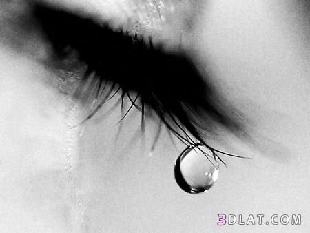 لا تقول لا تقول ودمعتك ابلغ من الكلام