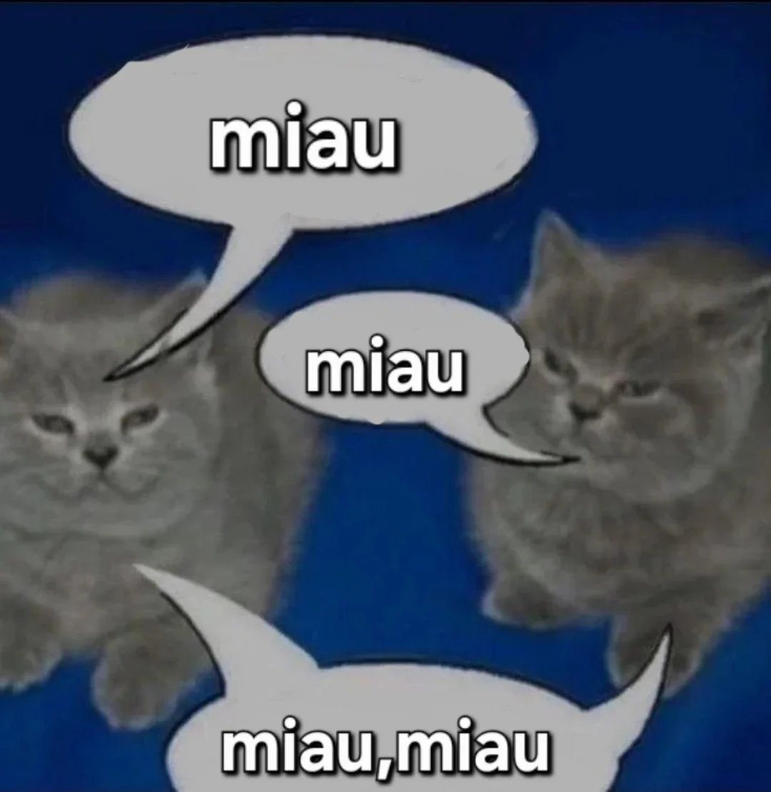 Página Séria. (@apaginaseria) on Twitter photo 