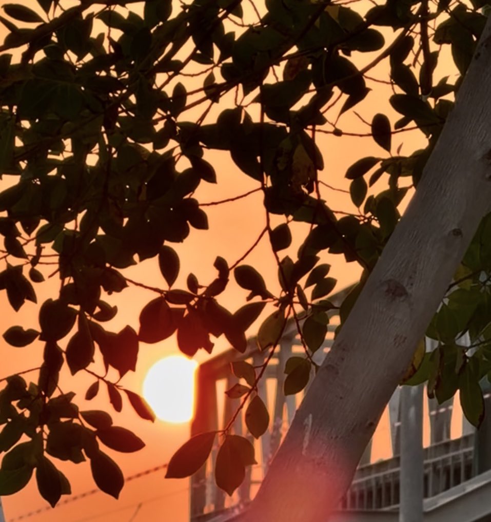 صباح الخير ☀️. . 

«بعد سهاد الليل الطويل ينبلج الصباح ضاويًا يعلن بدايةً جديدة وفجرًا جديدًا وفرَجًا قريبًا مشرقاً بأملٍ ينسلَّ على الدُّنى والقلوب من بزوغ الشمس بعد مغيبٍ حلَّ عليهما فيسلِّم المرء أمره لمن بيده المشرق والمغرب—بك نحيا وبك نموت وإليك النشور ».