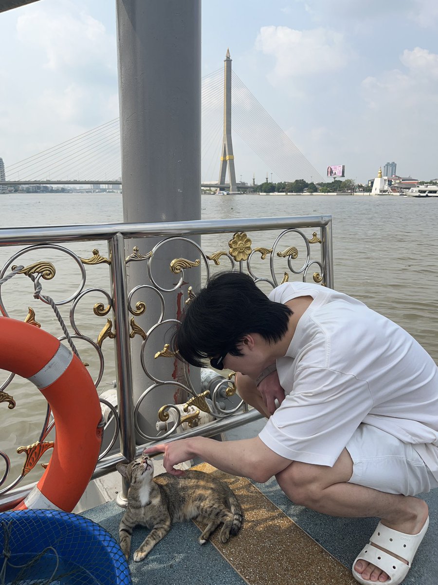 eyeamball tweet media