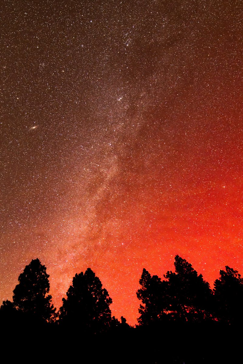 Mitch Tobin tweet media