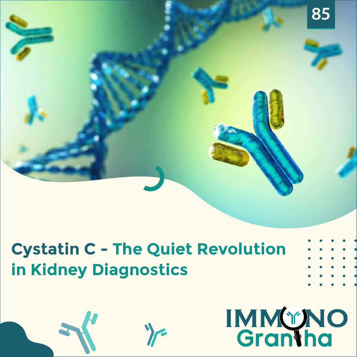 Immuno Grantha Blog...

Cystatin C - The Quiet Revolution in Kidney Diagnostics

Read More Here...
zurl.co/Y2nKF 

#agappe #ImmunoGrantha #CystatinC
#KidneyDiagnostics #RenalHealth #NextGenBiomarkers #EarlyKidneyDetection