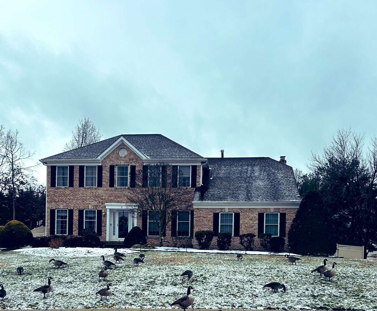 2026 第二場雪後…一樣美。鄰居門前飛來一大群加拿大鵝😅🤔👍