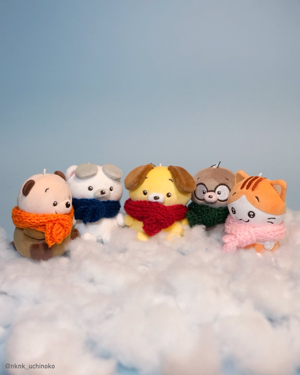 のこのこ うちのコ (@nknk_uchinoko) / Posts / X