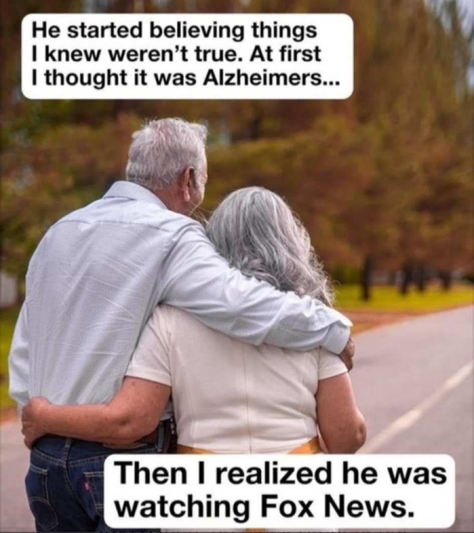 judynor00320887's tweet image. The Fox Effect