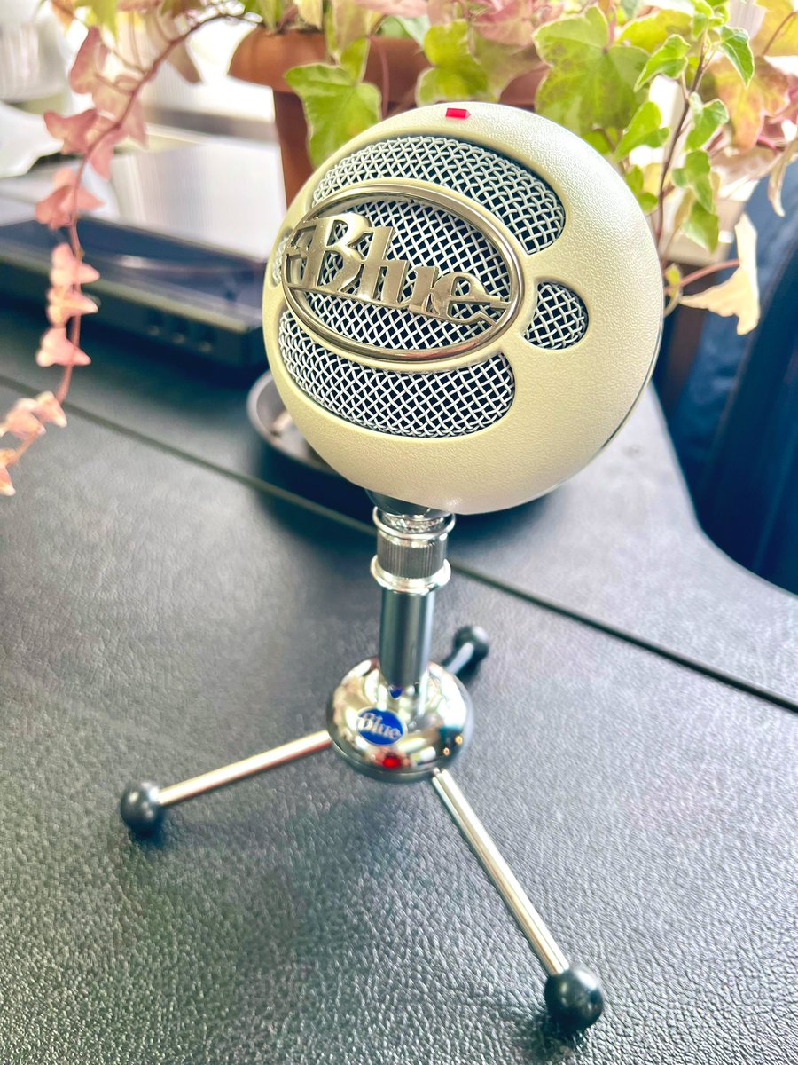 milkvetchika's tweet photo. やっぱりかわいい。
録音も何もわからない時に、仮歌から何からホントにお世話になったコ。
#Bluemic https://t.co/VtQK9GKNyI