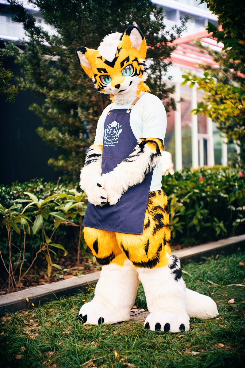 ぽん🌟 (@ponponpon643) / Posts / X