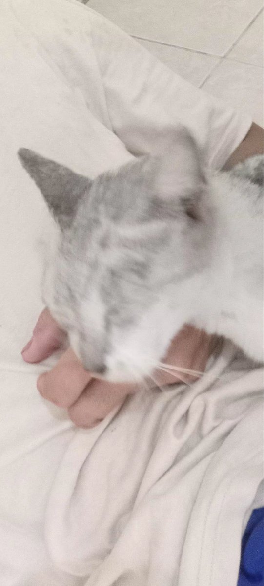 wefrawd's tweet image. tamubtak diundang