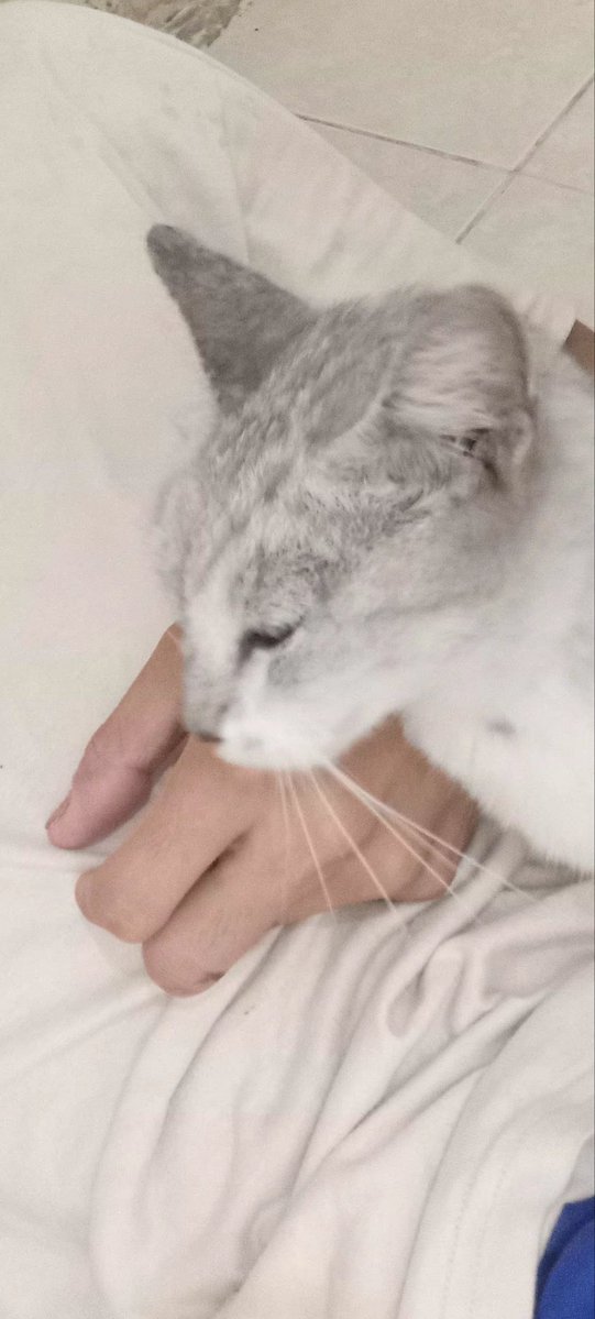 wefrawd's tweet image. tamubtak diundang