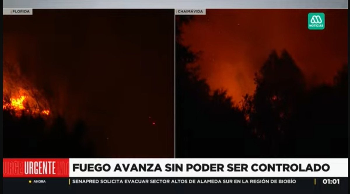 LECHATEUX's tweet photo. En estos momentos 😭😭😭😭#Chaimavida #SantaJuana #IncendiosForestales #Chile #RegióndelBioBio #Concepción #Cabrero #Quillón #Laja #Palomares #Penco #Lirquén #Dichato #Tomé #PuntaParra https://t.co/lumkveMUya