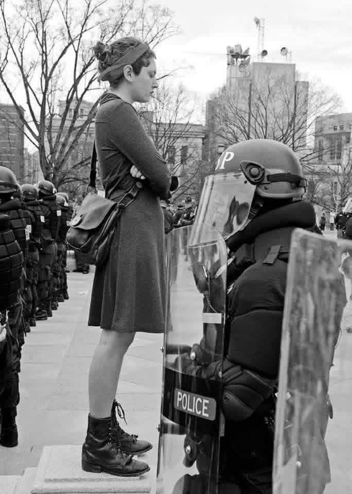 دهشم tweet media