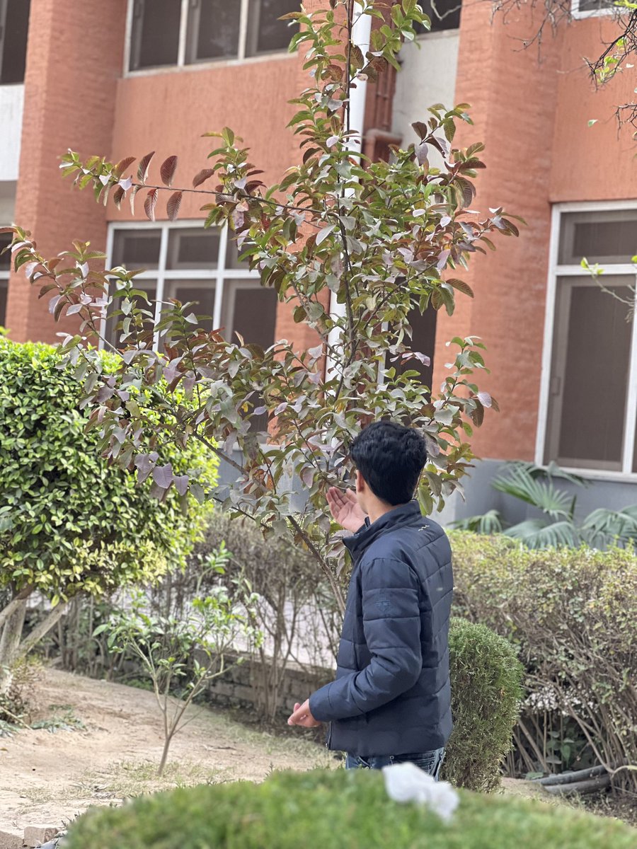 realusmannazir's tweet photo. Nature therapy in progress https://t.co/ilTUMJbTOz