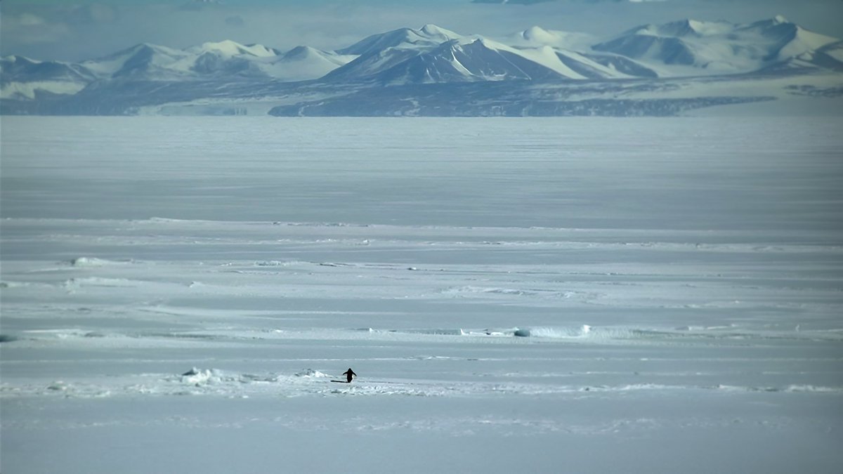 Eden eldith tweet media